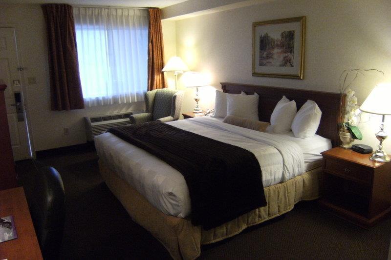 Best Western Halton Hills Georgetown Oda fotoğraf